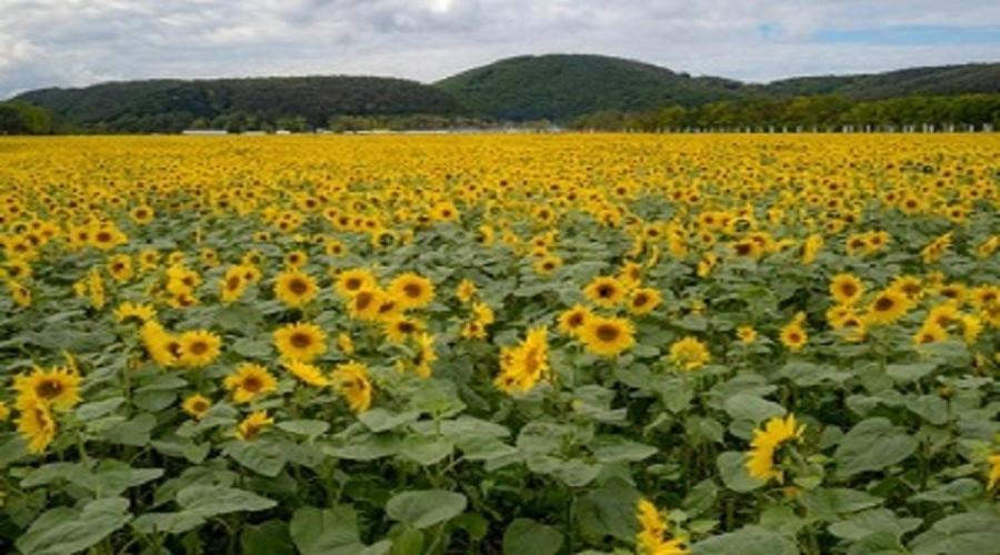 Abashiri Kanko Hotel Bagian luar foto